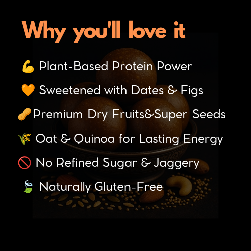 DRYFRUIT SEEDS MIX PROTEIN LADUU